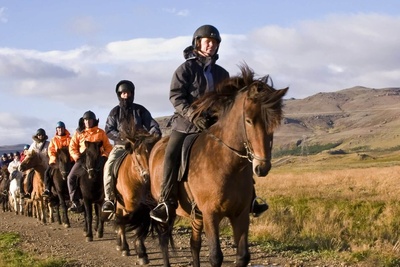 Horse riding tour