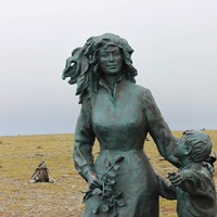 The North Cape Tour (Most popular)